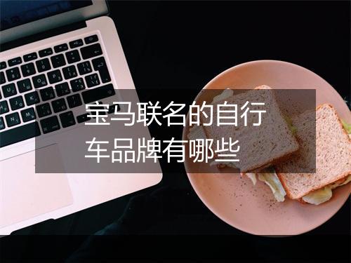 宝马联名的自行车品牌有哪些