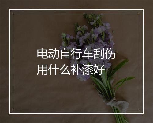 电动自行车刮伤用什么补漆好